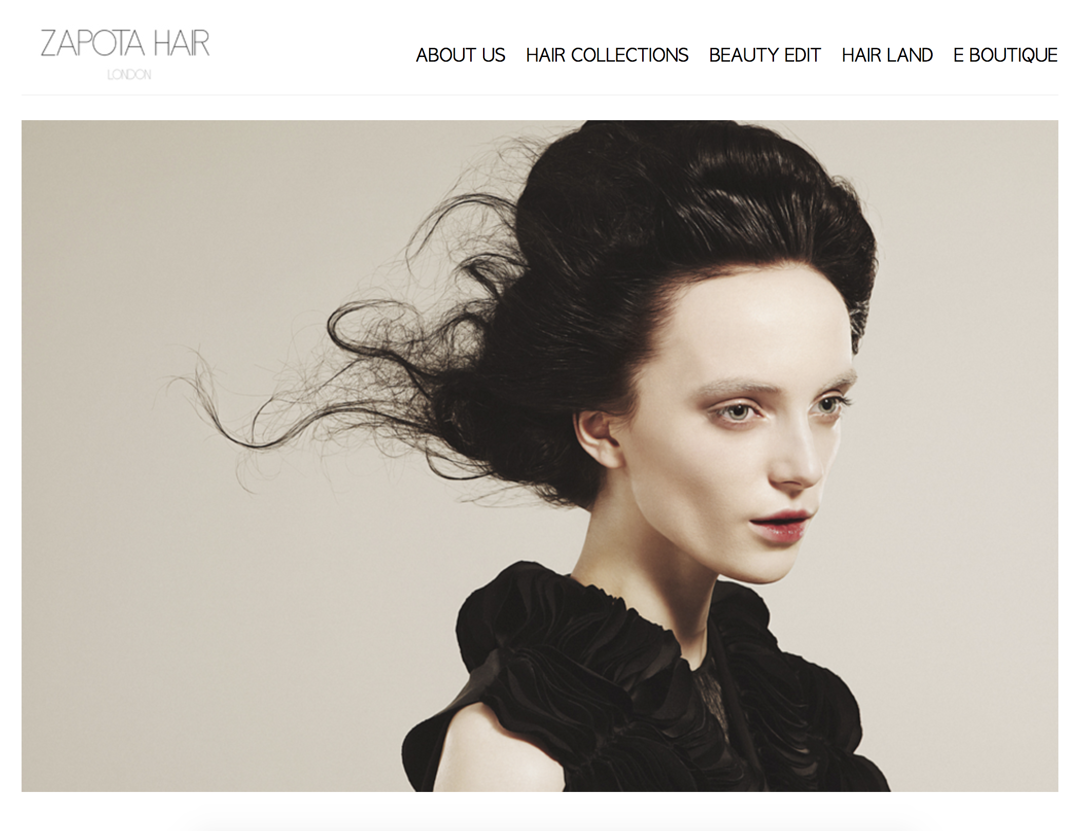 Zapota Hair home page